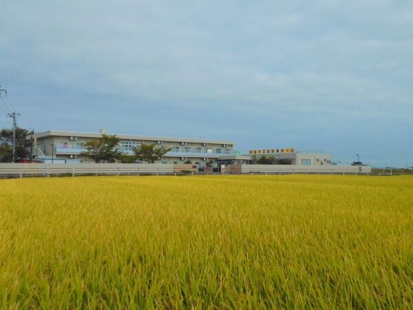 障害者支援施設 ルピナス鴻巣ホーム（パート）の支援員求人の写真