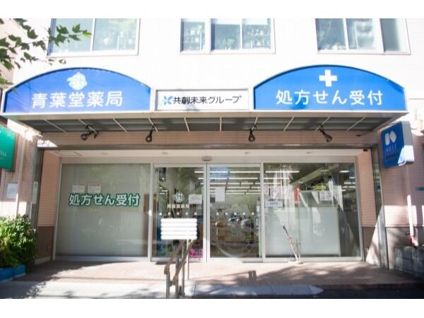 青葉堂薬局 住之江店（パート）の薬剤師求人の写真