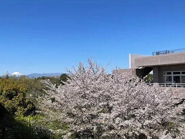 ケアハウスグリーンヴィラ富士見（相談員/常勤）の社会福祉士求人メイン写真2