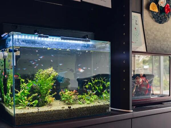 イリーゼ朝霞（常勤）のケアマネジャー求人の写真