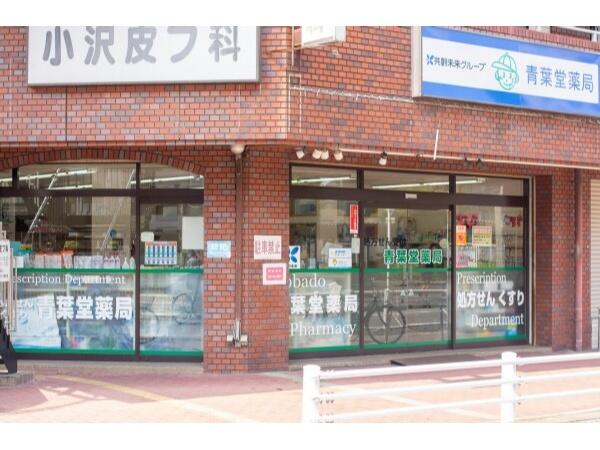 青葉堂薬局 長吉店（パート）の薬剤師求人の写真