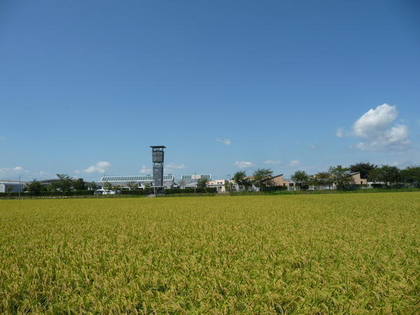 社会福祉法人田尻福祉会 大貫デイサービスセンター（常勤）の介護職求人メイン写真2