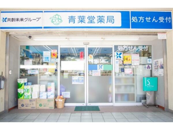 青葉堂薬局 グリーン店（パート）の薬剤師求人の写真