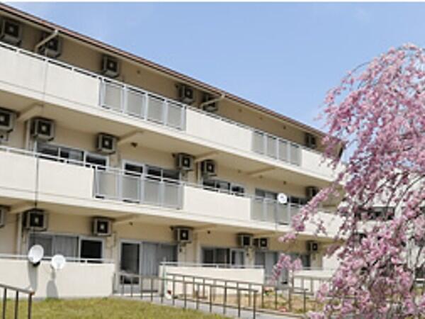 介護老人保健施設つつじ苑（デイケア/リーダー/常勤）の介護福祉士求人の写真