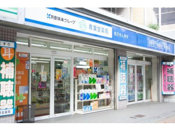 青葉堂薬局 あびこ店（パート）の薬剤師求人の写真