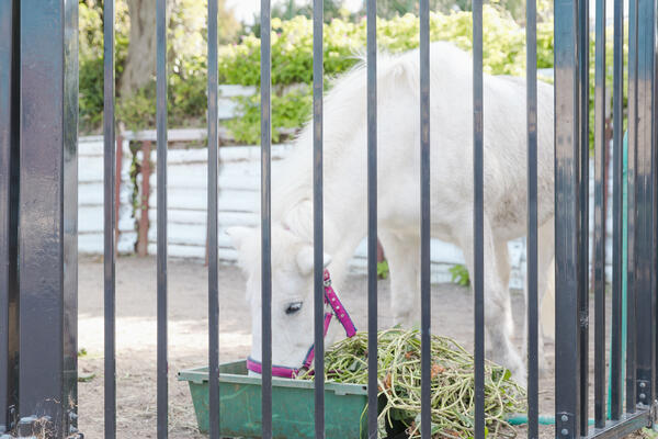 ショートステイ 寝屋川苑（常勤）  の介護福祉士求人メイン写真3