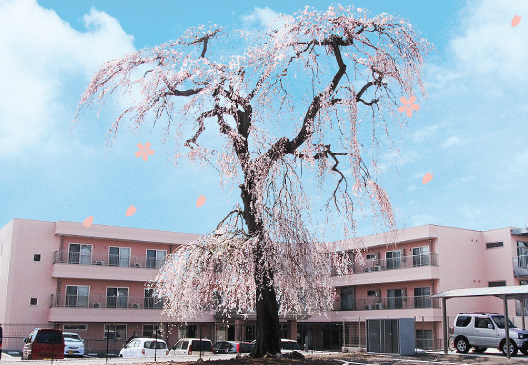 介護付有料老人ホーム桜庵（常勤）の看護師求人の写真