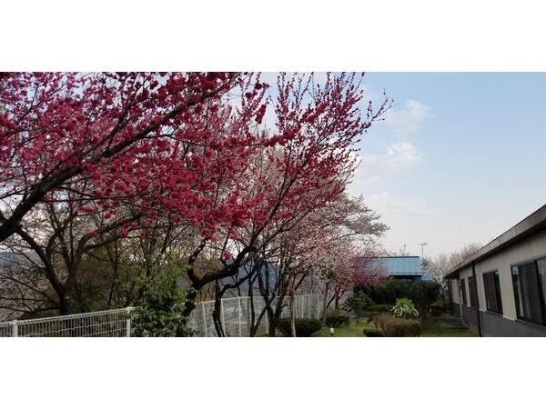 介護老人保健施設アルテンハイム会地の郷(常勤) の准看護師求人の写真
