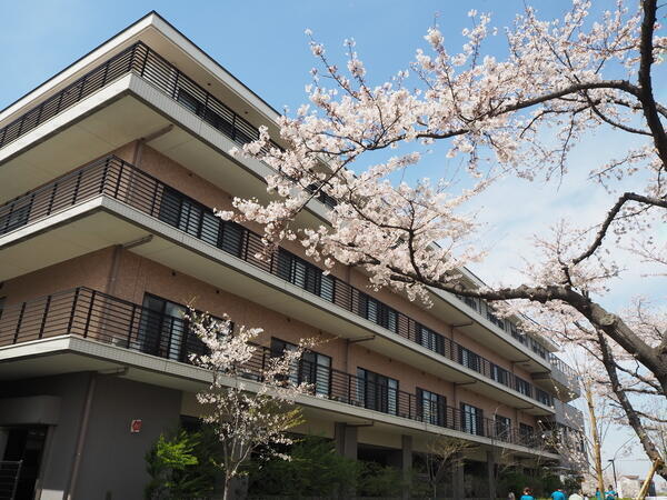 タムスさくら病院江戸川 認知症疾患医療センター（正社員）の保健師求人メイン写真2