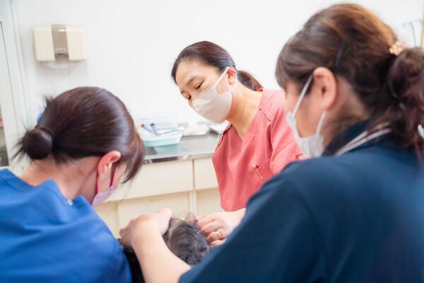 県西福祉センター（パート）の看護師求人の写真