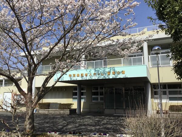 特別養護老人ホーム菖蒲の郷（常勤）の准看護師求人の写真