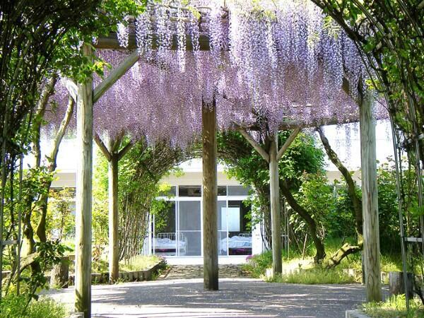 特別養護老人ホーム若藤園（契約社員/常勤）の介護職求人の写真